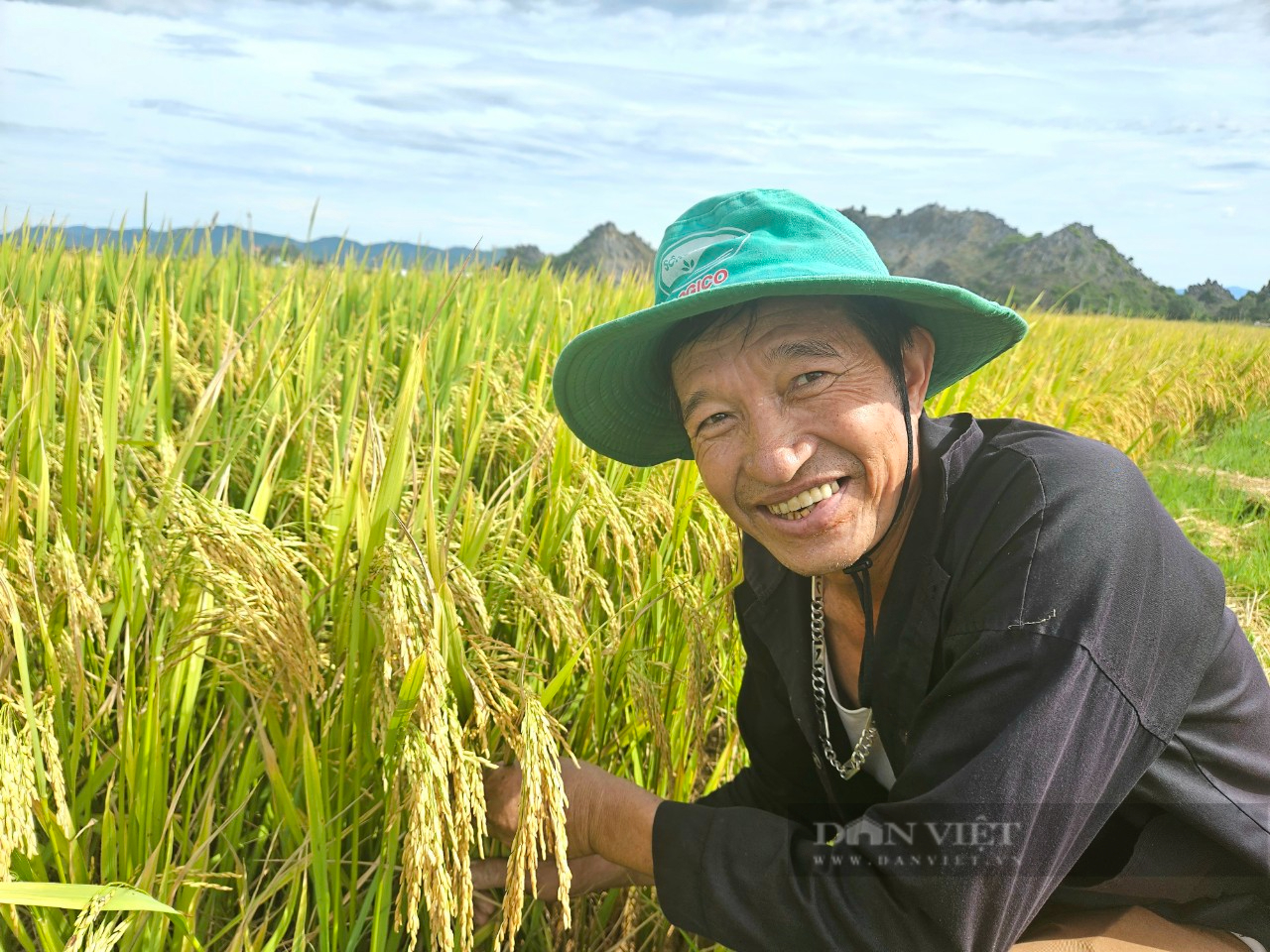 Liên kết 4 nhà, cánh đồng không dấu chân: Bí quyết thành công Tổng Công ty sông Gianh- Ảnh 8. Liên kết 4 nhà, cánh đồng không dấu chân: Bí quyết thành công Tổng Công ty sông Gianh- Ảnh 8.