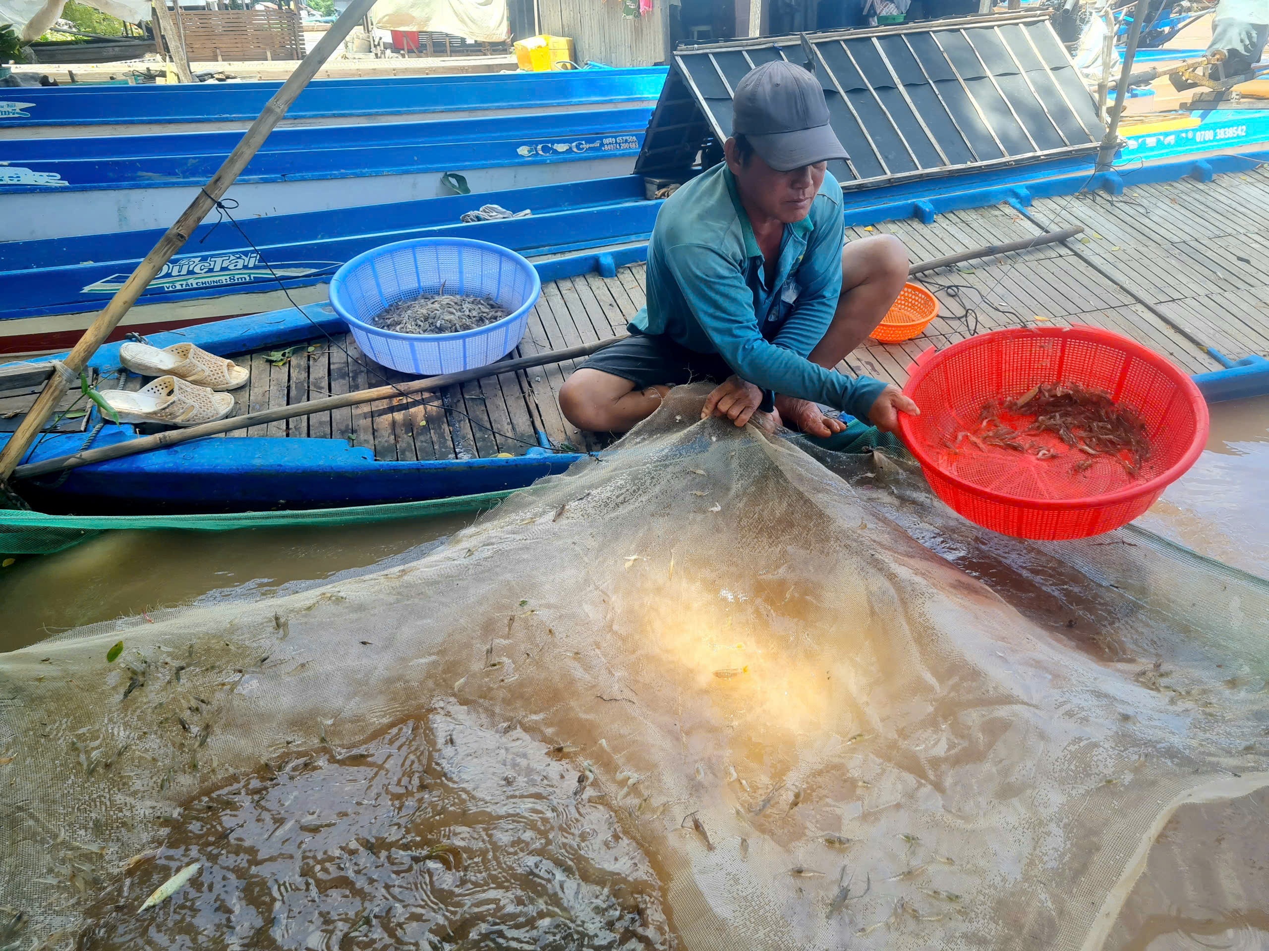 Nước tràn đồng, nông dân An Giang thong thả bơi xuồng bắt cá tôm- Ảnh 4. Nước tràn đồng, nông dân An Giang thong thả bơi xuồng bắt cá tôm- Ảnh 4.
