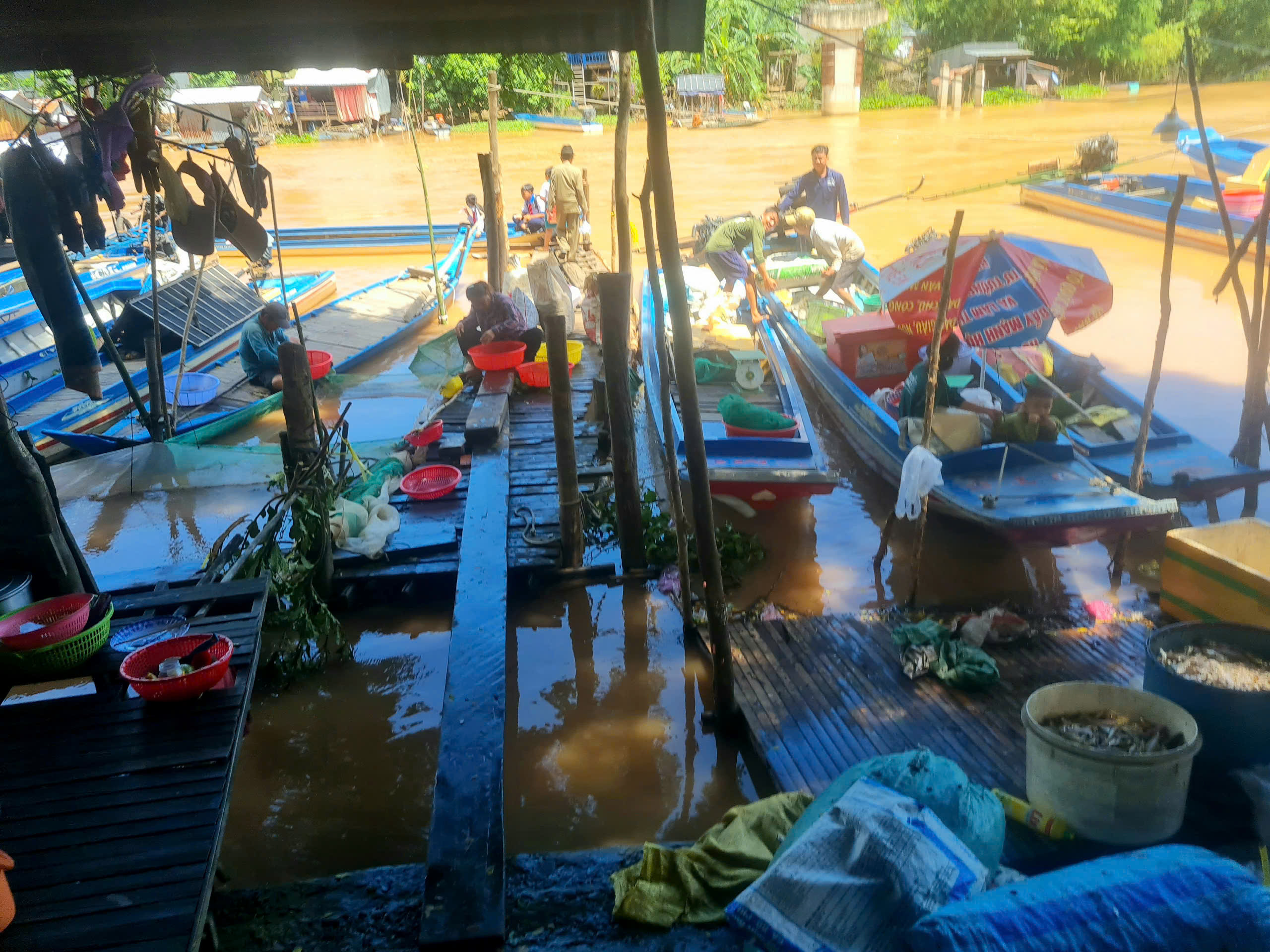 Nước tràn đồng, nông dân An Giang thong thả bơi xuồng bắt cá tôm- Ảnh 6. Nước tràn đồng, nông dân An Giang thong thả bơi xuồng bắt cá tôm- Ảnh 6.