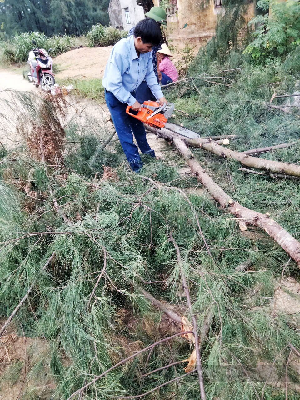 Hà Tĩnh: Ảnh hưởng áp thấp nhiệt đới gây gió lốc tốc mái 12 nhà dân- Ảnh 3. Hà Tĩnh: Ảnh hưởng áp thấp nhiệt đới gây gió lốc tốc mái 12 nhà dân- Ảnh 3.