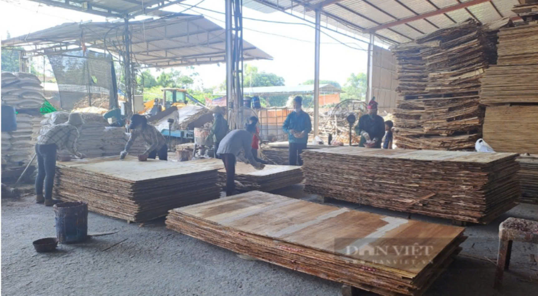 Người trưởng xóm dân tộc Sán Dìu ở Thái Nguyên giúp nhiều bà con có thu nhập ổn định từ làm ván bóc- Ảnh 3. Người trưởng xóm dân tộc Sán Dìu ở Thái Nguyên giúp nhiều bà con có thu nhập ổn định từ làm ván bóc- Ảnh 3.