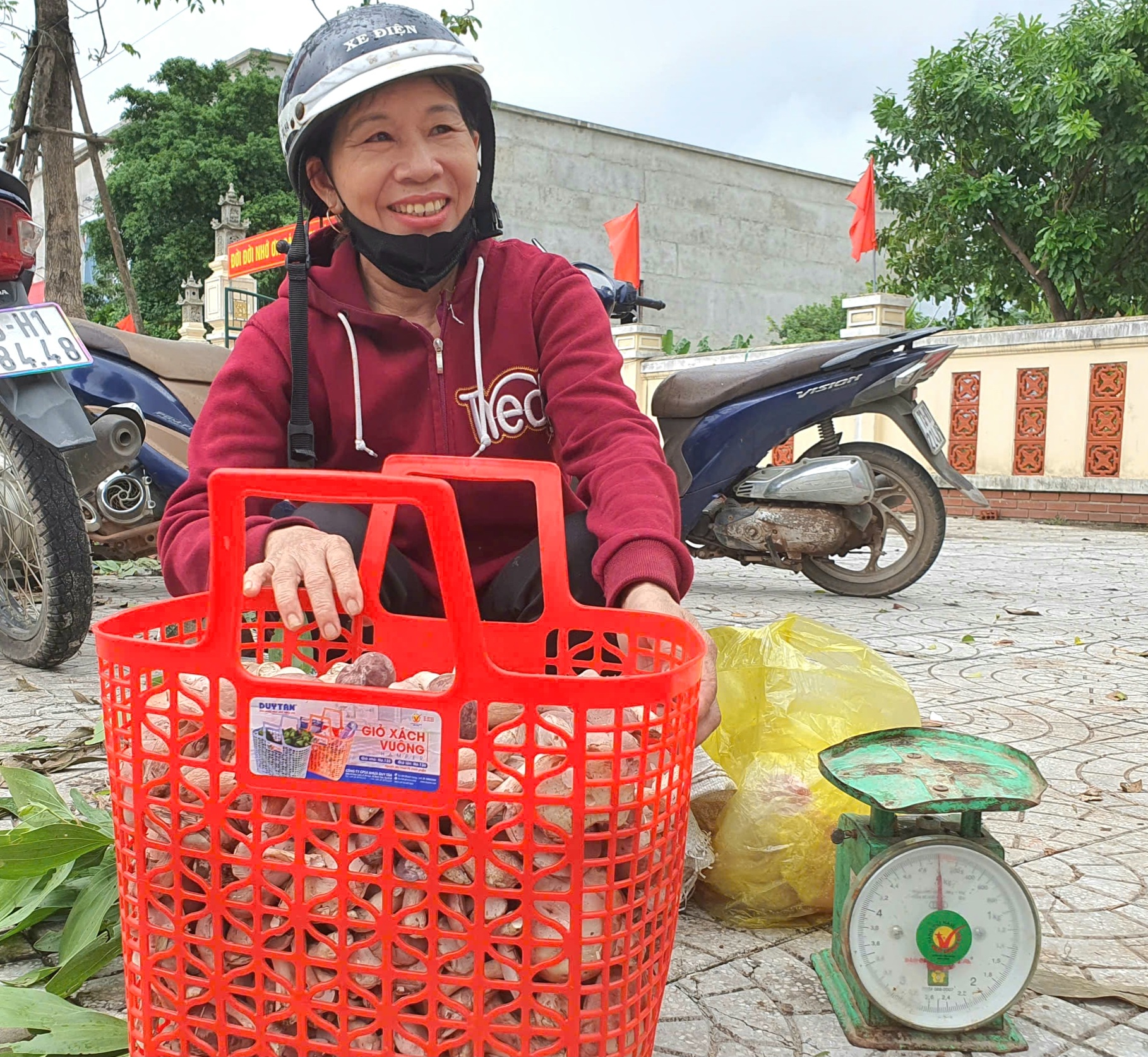 Người dân Quảng Bình rủ nhau đi hái loài nấm béo núc ních, ăn càng đắng càng ngon- Ảnh 2. Người dân Quảng Bình rủ nhau đi hái loài nấm béo núc ních, ăn càng đắng càng ngon- Ảnh 2.