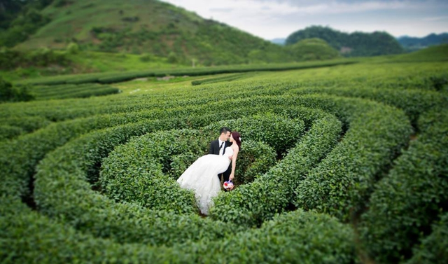 Điểm dừng chân lý tưởng cho tuần trăng mật kết hợp chụp ảnh cưới tại Việt Nam- Ảnh 2. Điểm dừng chân lý tưởng cho tuần trăng mật kết hợp chụp ảnh cưới tại Việt Nam- Ảnh 2.