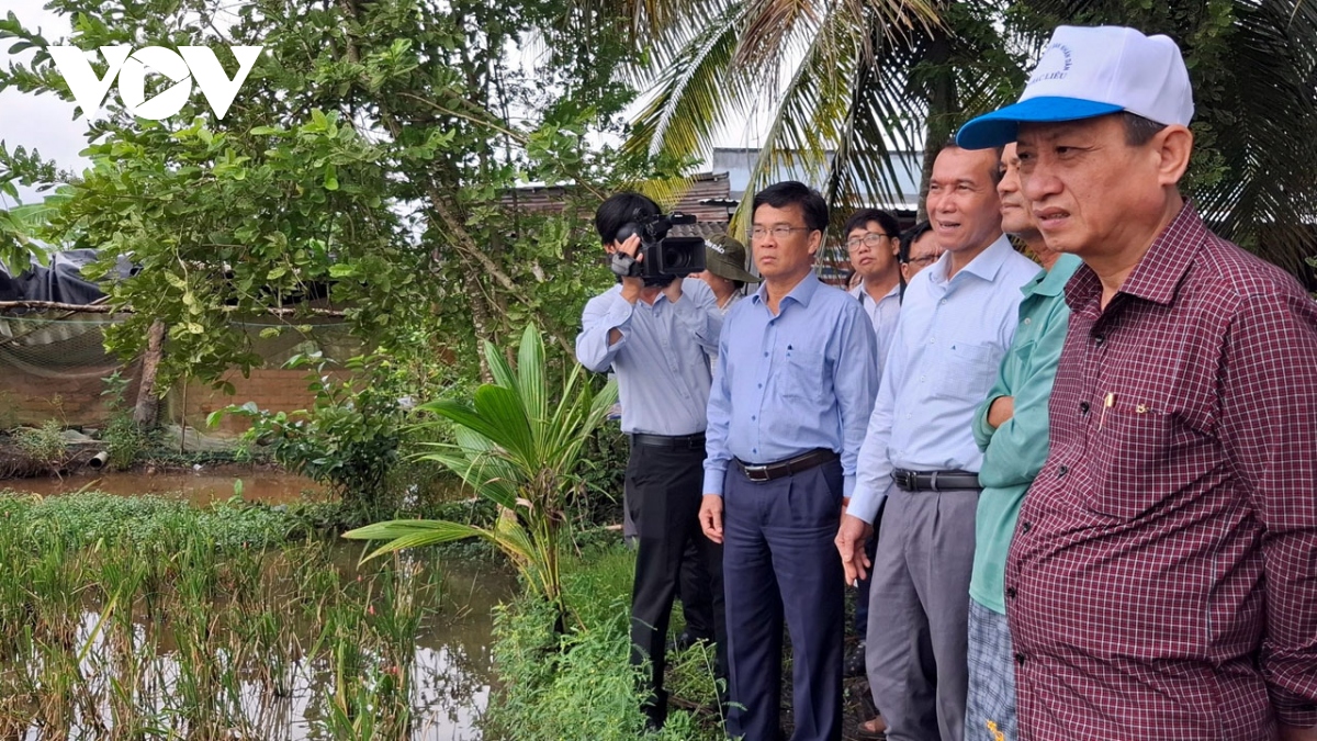 hơn 12.600 ha lúa hè thu ở bạc liêu bị đổ ngã, gần 220ha bị mất trắng hình ảnh 2 hon 12.600 ha lua he thu o bac lieu bi do nga, gan 220ha bi mat trang hinh anh 2