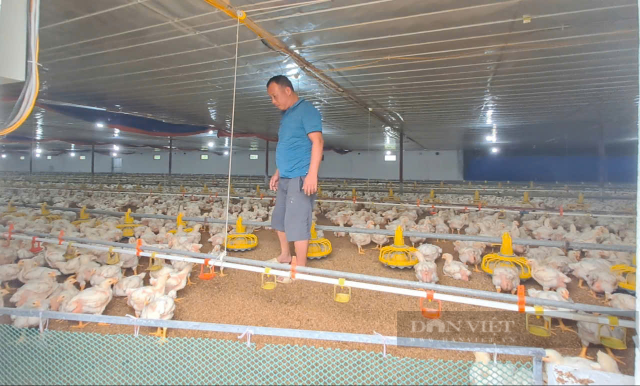 Nhiều nông dân Thái Nguyên nâng cao thu nhập, giảm nghèo nhờ nguồn vốn vay ưu đãi - Ảnh 2.