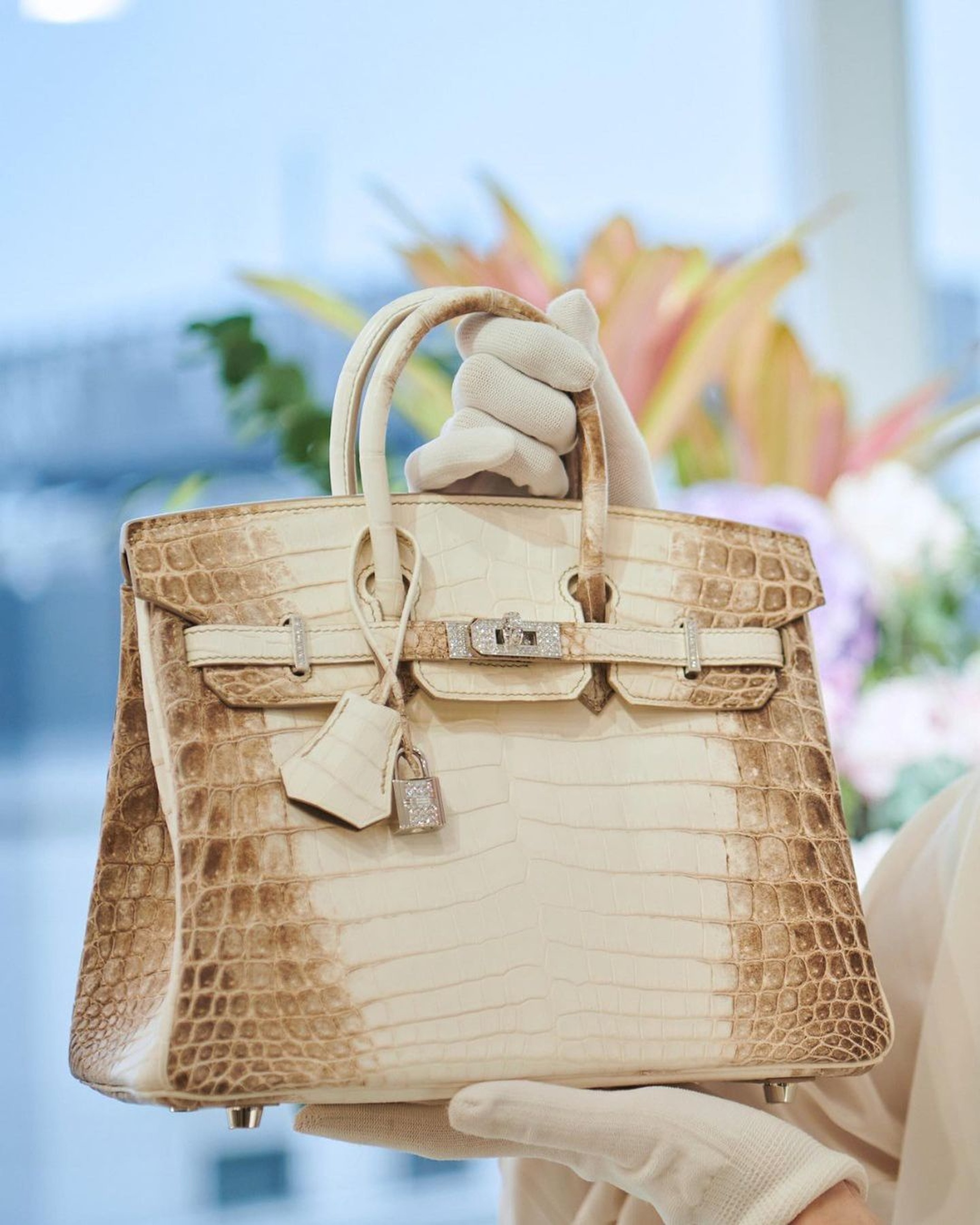 Túi xách Hermès bà Trương Mỹ Lan xin lại hiếm có cỡ nào? - 5 Túi xách Hermès bà Trương Mỹ Lan xin lại hiếm có cỡ nào? - 5