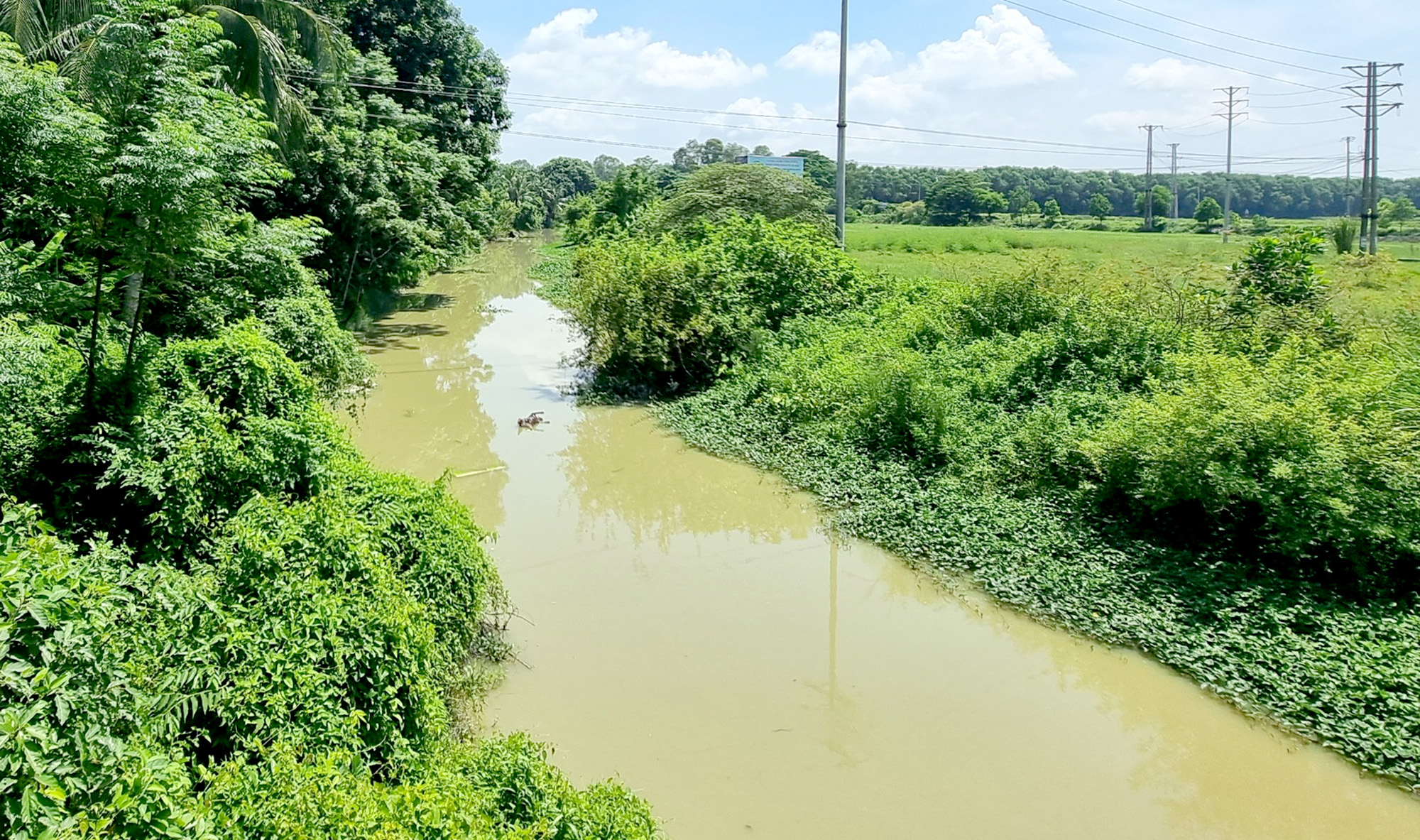 “Đường mòn Hồ Chí Minh” trên sông ở xứ Thanh- Ảnh 3. “Đường mòn Hồ Chí Minh” trên sông ở xứ Thanh- Ảnh 3.