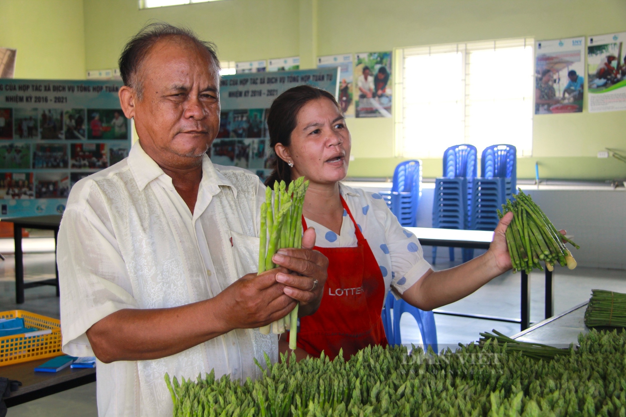 Có Hợp tác xã này