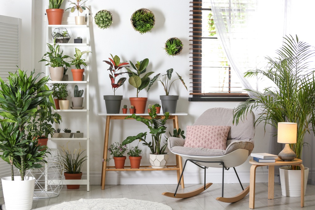 8 lưu ý giúp người lần đầu làm nội thất căn hộ không hối tiếc - 2 8 lưu ý giúp người lần đầu làm nội thất căn hộ không hối tiếc - 2