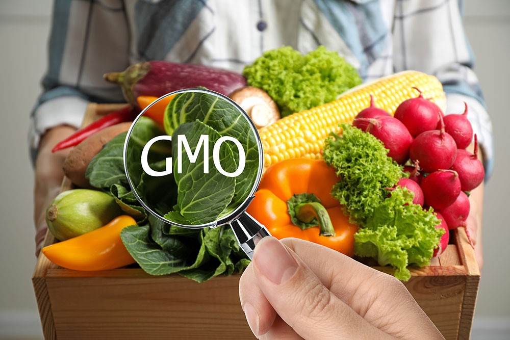 Ăn thực phẩm biến đổi gene có nguy cơ ung thư không?- Ảnh 1. Ăn thực phẩm biến đổi gene có nguy cơ ung thư không?- Ảnh 1.