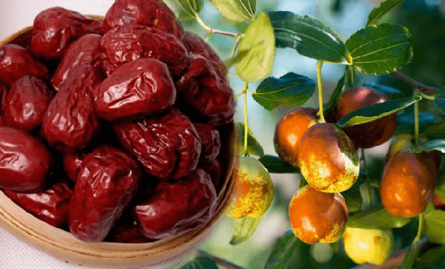 Bất ngờ loại quả ngọt thơm đang bán đầy chợ Việt, người bệnh tiểu đường ăn theo cách này để ổn định đường huyết - Ảnh 3. Bất ngờ loại quả ngọt thơm đang bán đầy chợ Việt, người bệnh tiểu đường ăn theo cách này để ổn định đường huyết - Ảnh 3.