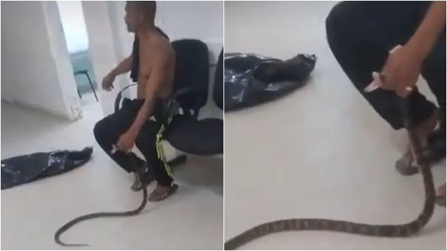 Bị rắn độc cắn, người đàn ông túm cổ “thủ phạm” lôi tới bệnh viện: Cảnh sau đó ai thấy cũng hãi hùng - Ảnh 1. Bị rắn độc cắn, người đàn ông túm cổ “thủ phạm” lôi tới bệnh viện: Cảnh sau đó ai thấy cũng hãi hùng - Ảnh 1.