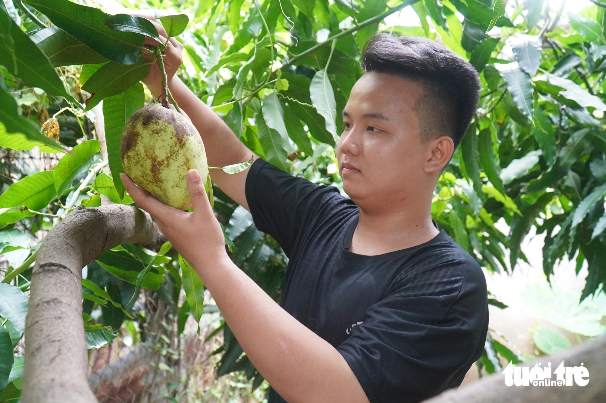 Bí thư đoàn trường đam mê nghiên cứu khoa học đậu vào 3 trường đại học - Ảnh 1.