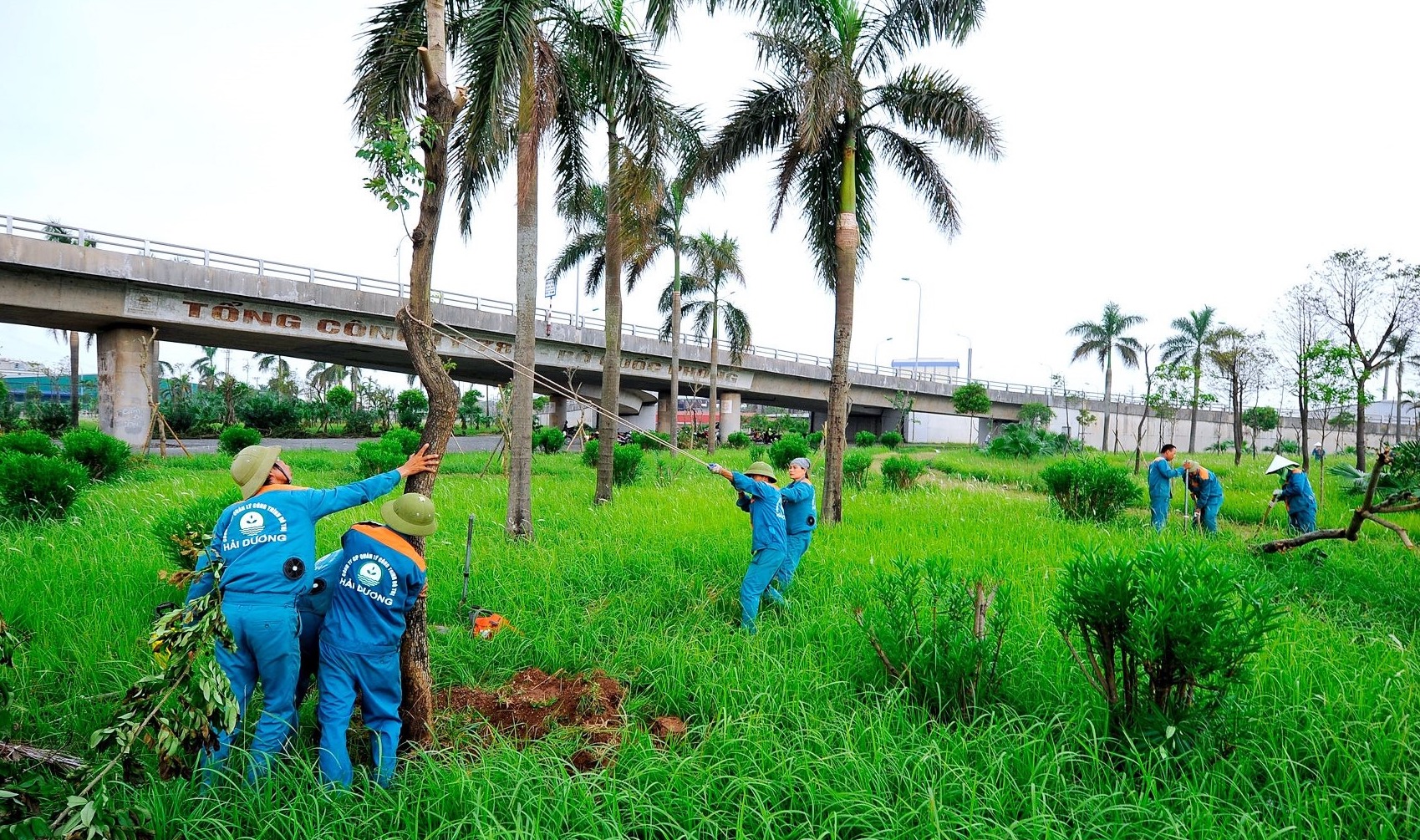 Hải Dương: Chống dựng, phun dinh dưỡng để phục hồi cây xanh gãy đổ sau bão- Ảnh 1. Hải Dương: Chống dựng, phun dinh dưỡng để phục hồi cây xanh gãy đổ sau bão- Ảnh 1.