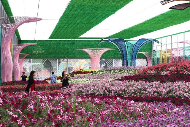 Có gì mới tại Festival Hoa Đà Lạt lần thứ 10 năm 2024? - Ảnh 1. Có gì mới tại Festival Hoa Đà Lạt lần thứ 10 năm 2024? - Ảnh 1.