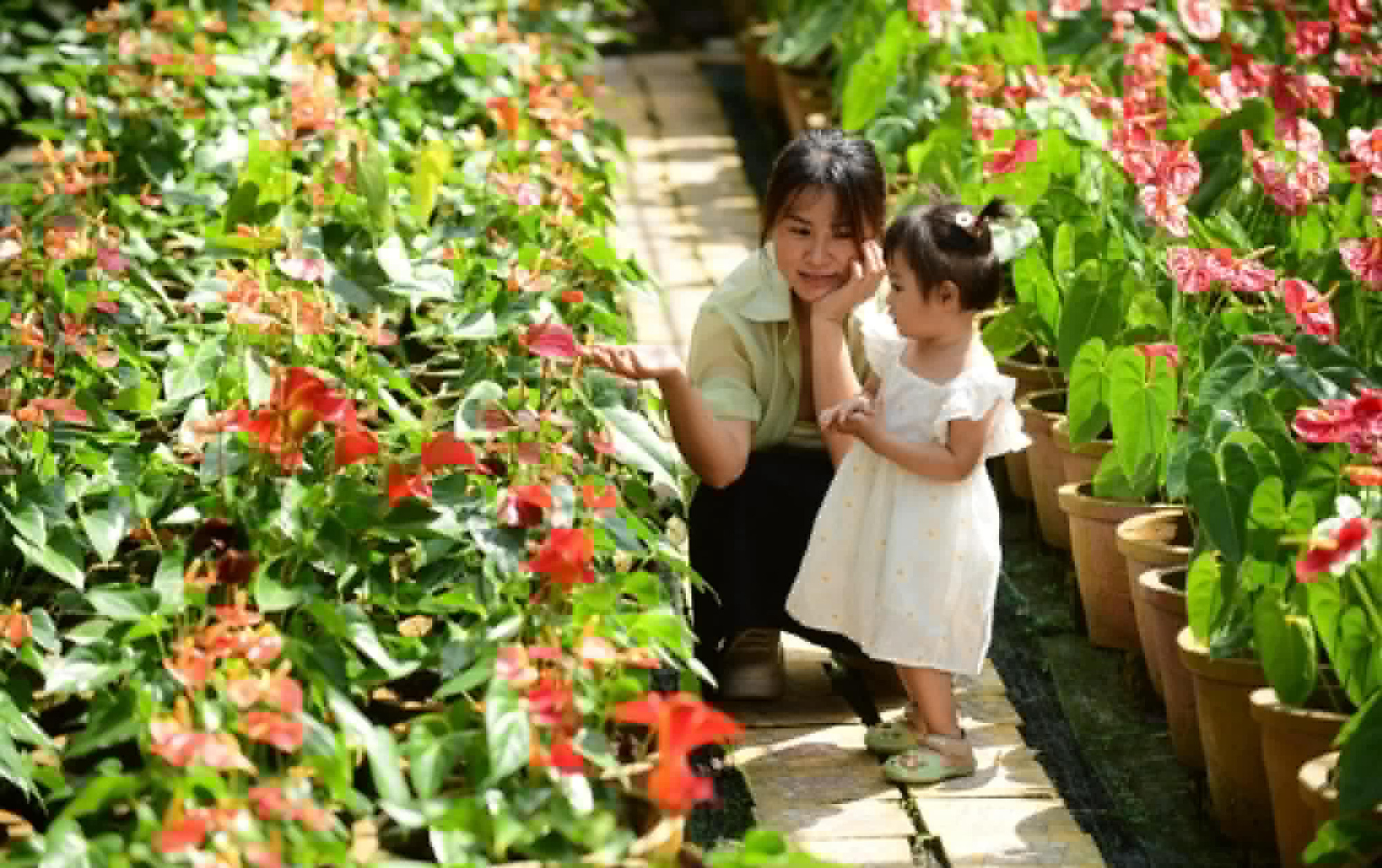 Đi cùng 'tuổi thơ con', tại sao không? - Ảnh 1. Đi cùng 'tuổi thơ con', tại sao không? - Ảnh 1.