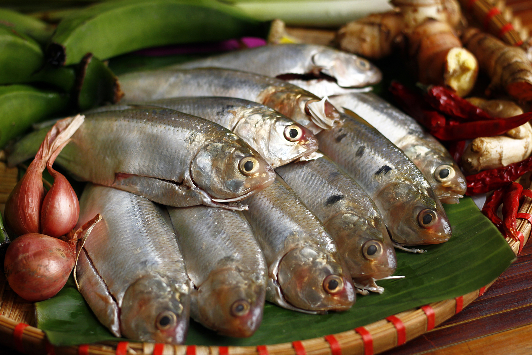 Loại cá giàu Omega-3 vừa ăn ngon lại chắc xương, khỏe tim, kiểm soát đường huyết- Ảnh 2. Loại cá giàu Omega-3 vừa ăn ngon lại chắc xương, khỏe tim, kiểm soát đường huyết- Ảnh 2.