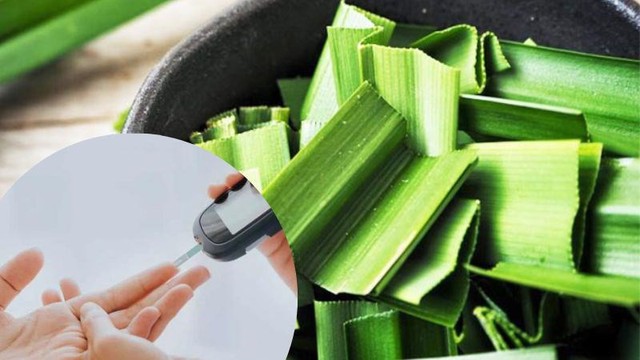 Loại lá có mùi thơm tự nhiên, giúp hạ đường huyết và ngừa cao huyết áp, người bệnh tiểu đường nên ăn để phòng bệnh - Ảnh 2. Loại lá có mùi thơm tự nhiên, giúp hạ đường huyết và ngừa cao huyết áp, người bệnh tiểu đường nên ăn để phòng bệnh - Ảnh 2.