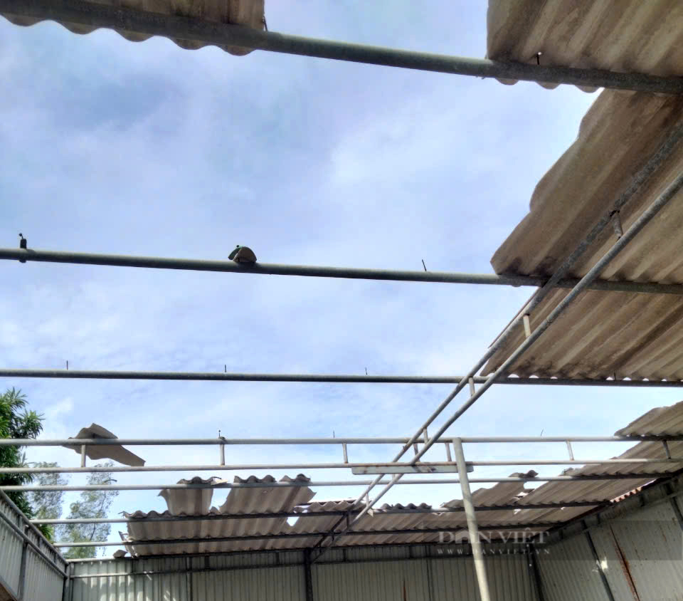 Hà Tĩnh: Ảnh hưởng áp thấp nhiệt đới gây gió lốc tốc mái 12 nhà dân- Ảnh 1. Hà Tĩnh: Ảnh hưởng áp thấp nhiệt đới gây gió lốc tốc mái 12 nhà dân- Ảnh 1.