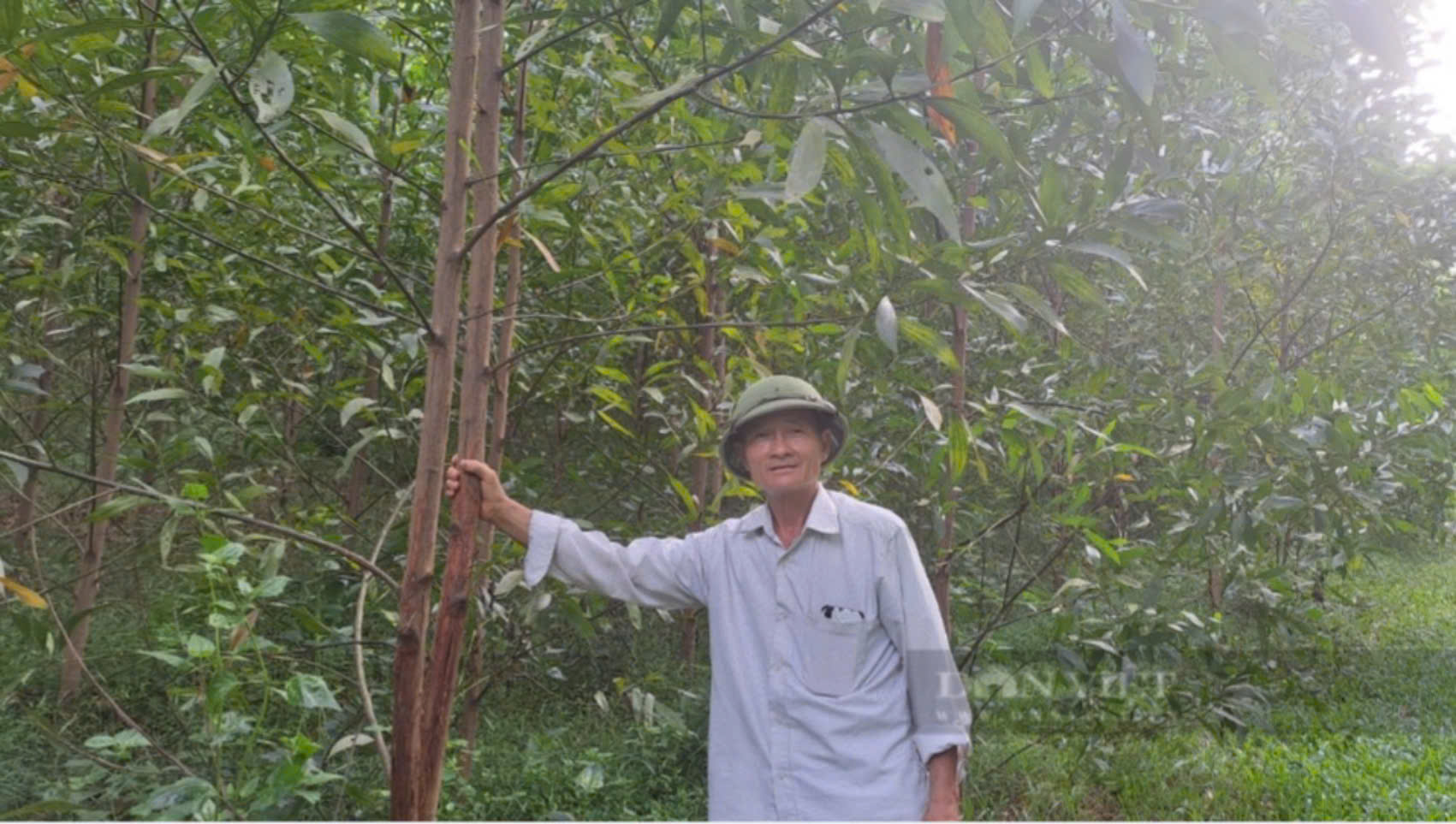 Người trưởng xóm dân tộc Sán Dìu ở Thái Nguyên giúp nhiều bà con có thu nhập ổn định từ làm ván bóc- Ảnh 2. Người trưởng xóm dân tộc Sán Dìu ở Thái Nguyên giúp nhiều bà con có thu nhập ổn định từ làm ván bóc- Ảnh 2.