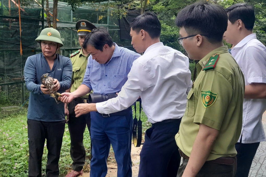 Quảng Bình: Thả 15 cá thể động vật hoang dã về môi trường tự nhiên - 1 Quảng Bình: Thả 15 cá thể động vật hoang dã về môi trường tự nhiên - 1
