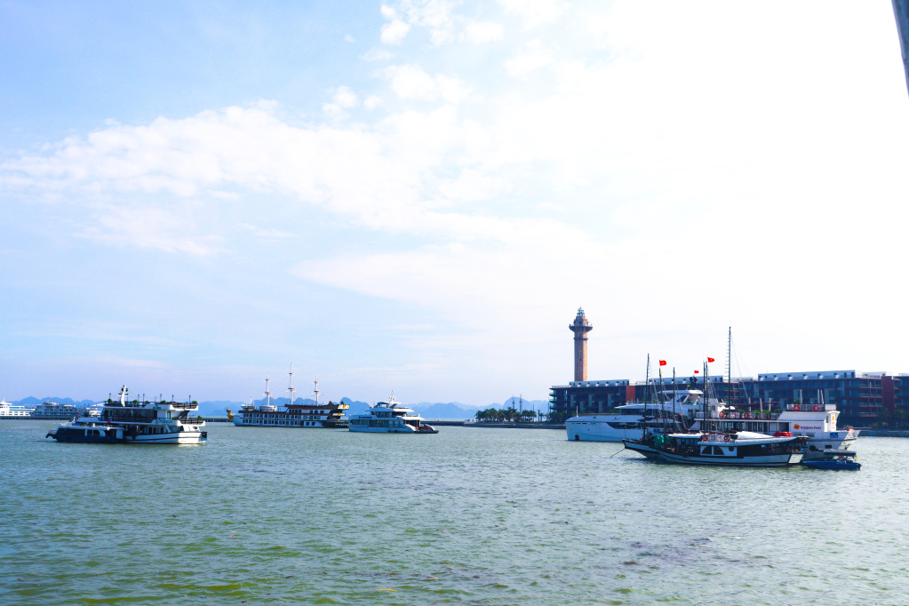Quảng Ninh mở chiến dịch làm sạch vịnh Hạ Long trong 3 ngày- Ảnh 2. Quảng Ninh mở chiến dịch làm sạch vịnh Hạ Long trong 3 ngày- Ảnh 2.
