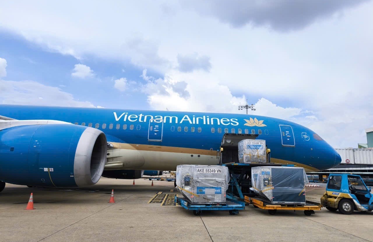 Vietnam Airlines vận chuyển gần 30 tấn hàng cứu trợ vùng bão lũ miền Bắc- Ảnh 1. Vietnam Airlines vận chuyển gần 30 tấn hàng cứu trợ vùng bão lũ miền Bắc- Ảnh 1.
