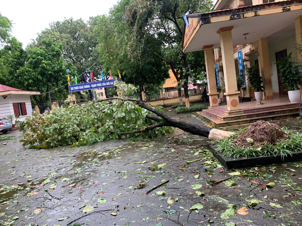 Nhiều trường bị thiệt hại nặng nề do bào Yagi gây nên.