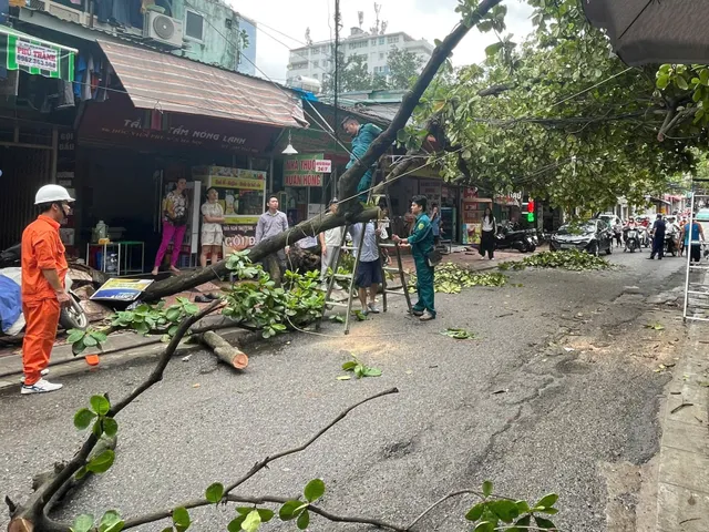 Hà Nội chạy đua với thời gian dựng lại hơn 4.000 cây xanh gãy đổ Hà Nội chạy đua với thời gian dựng lại hơn 4.000 cây xanh gãy đổ