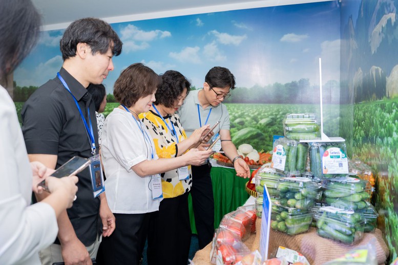 Saigon Co.op công bố quy hoạch vùng nguyên liệu sản phẩm bảo vệ sức khỏe người tiêu dùng - Vietnam.vn Saigon Co.op công bố quy hoạch vùng nguyên liệu sản phẩm bảo vệ sức khỏe người tiêu dùng