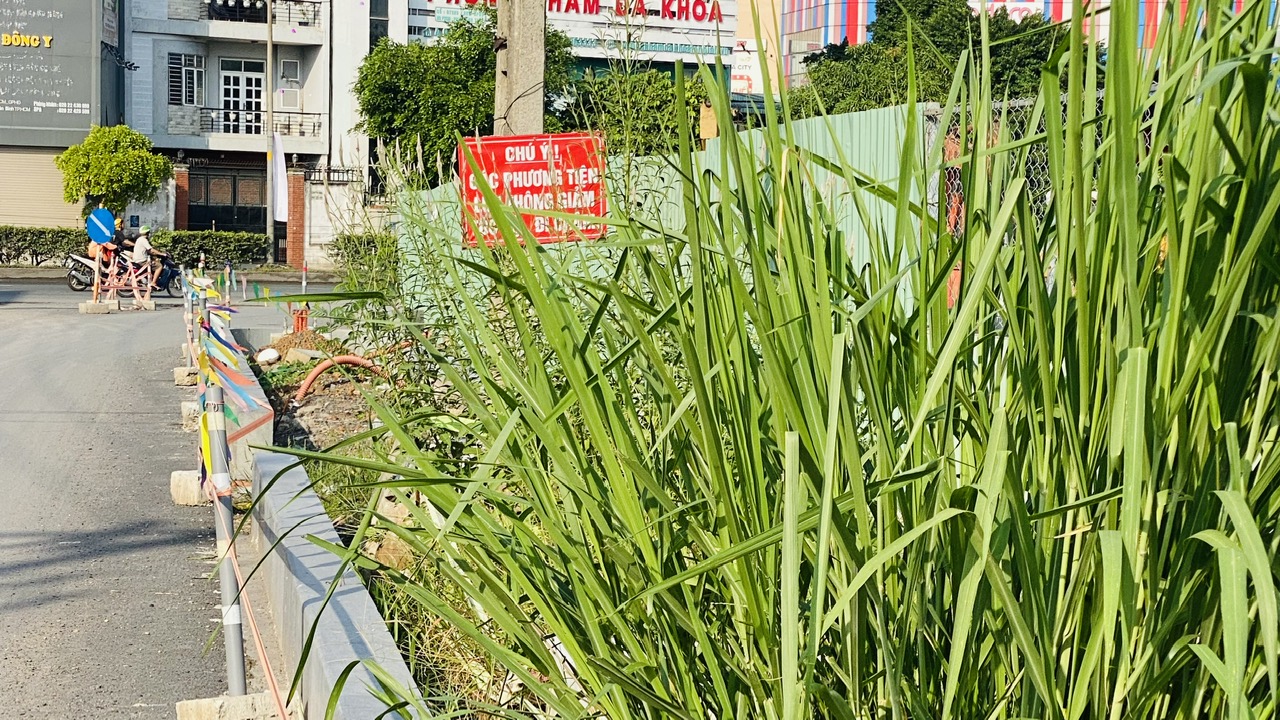 Một gói thầu thuộc dự án 4.800 tỷ qua sân bay Tân Sơn Nhất có nguy cơ Một gói thầu thuộc dự án 4.800 tỷ qua sân bay Tân Sơn Nhất có nguy cơ