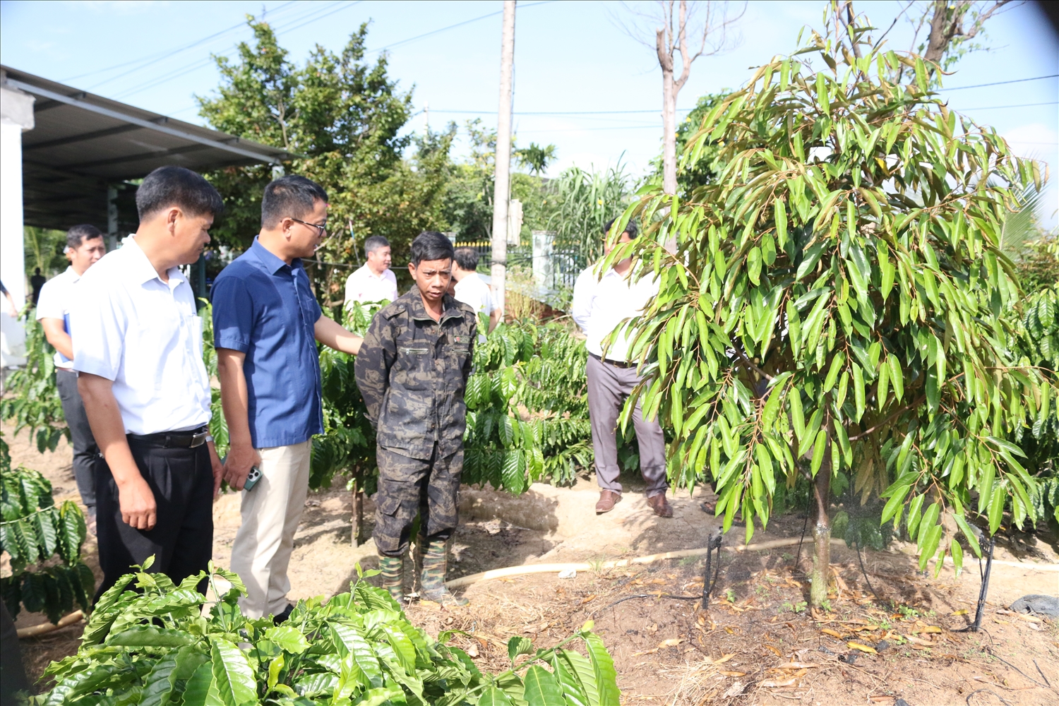 Đoàn công tác kiểm tra mô hình hỗ trợ cây giống sầu riêng cho hộ ông A Lưới, ở làng Chứ, xã Ya Ly, huyện Sa Thầy Đoàn công tác kiểm tra mô hình hỗ trợ cây giống sầu riêng cho hộ ông A Lưới (thứ ba từ trái sang), làng Chứ, xã Ya Ly, huyện Sa Thầy