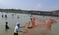 Ngàn người săn 'lộc trời' dưới chân đập thủy điện Trị An