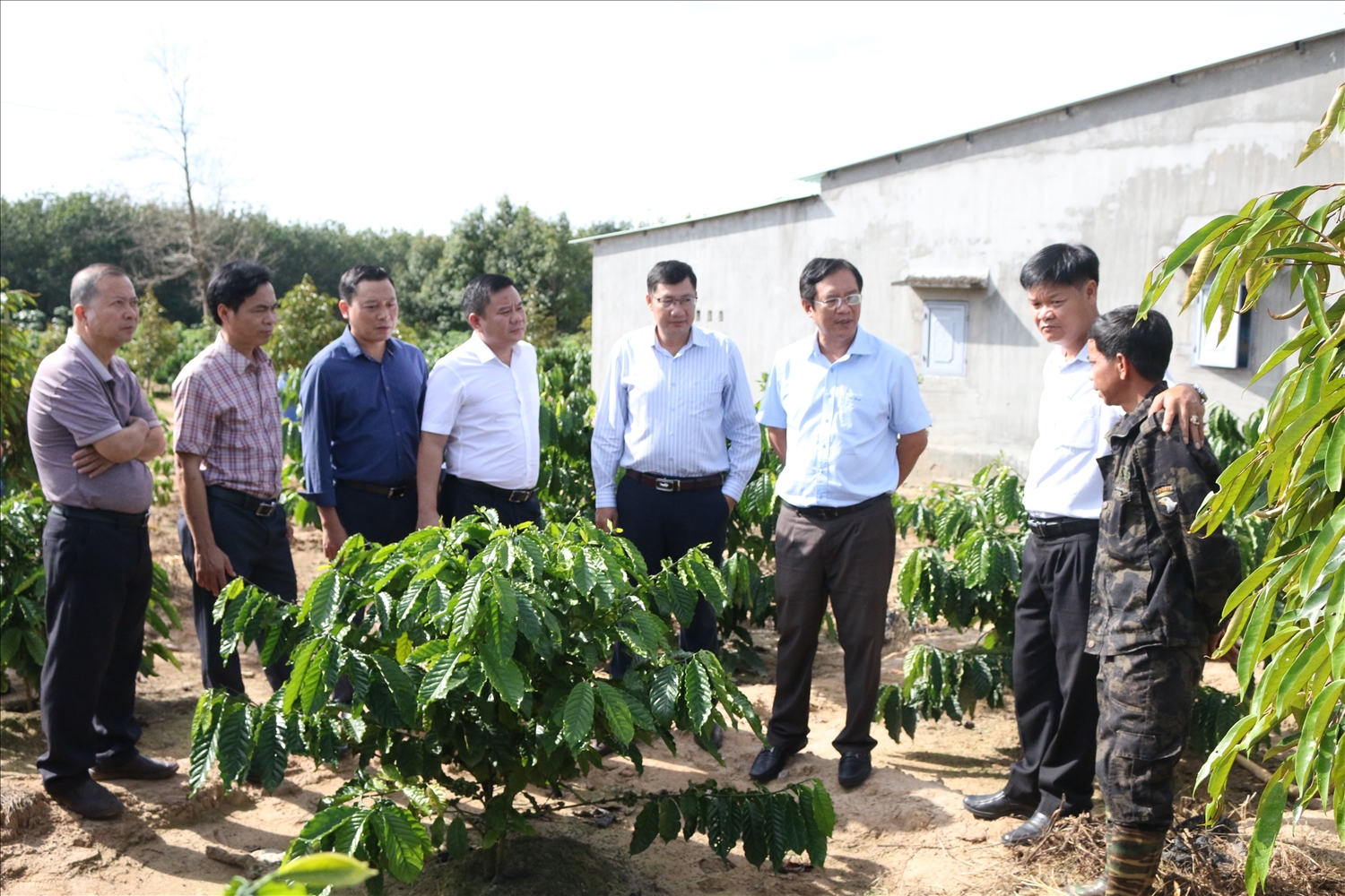 Lãnh đạo huyện Sa Thầy thăm mô hình cải tạo vườn tạp của hộ ông A Lưới ở làng Chứ, xã Ya Ly Lãnh đạo huyện Sa Thầy thăm mô hình cải tạo vườn tạp của hộ ông A Lưới ở làng Chứ, xã Ya Ly