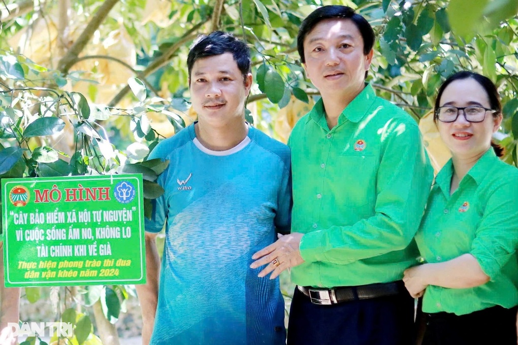 Độc lạ cách nông dân đóng bảo hiểm bằng... bưởi - 3 Độc lạ cách nông dân đóng bảo hiểm bằng... bưởi - 3