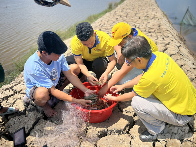 z5867719346614_fa5b2523497545ae54074dfcaf1f863f-055447_427-055448.jpg Nông dân tham gia chuỗi liên kết sản xuất của Công ty TNHH Xã hội chuỗi tôm rừng Minh Phú. Ảnh: Trọng Linh.