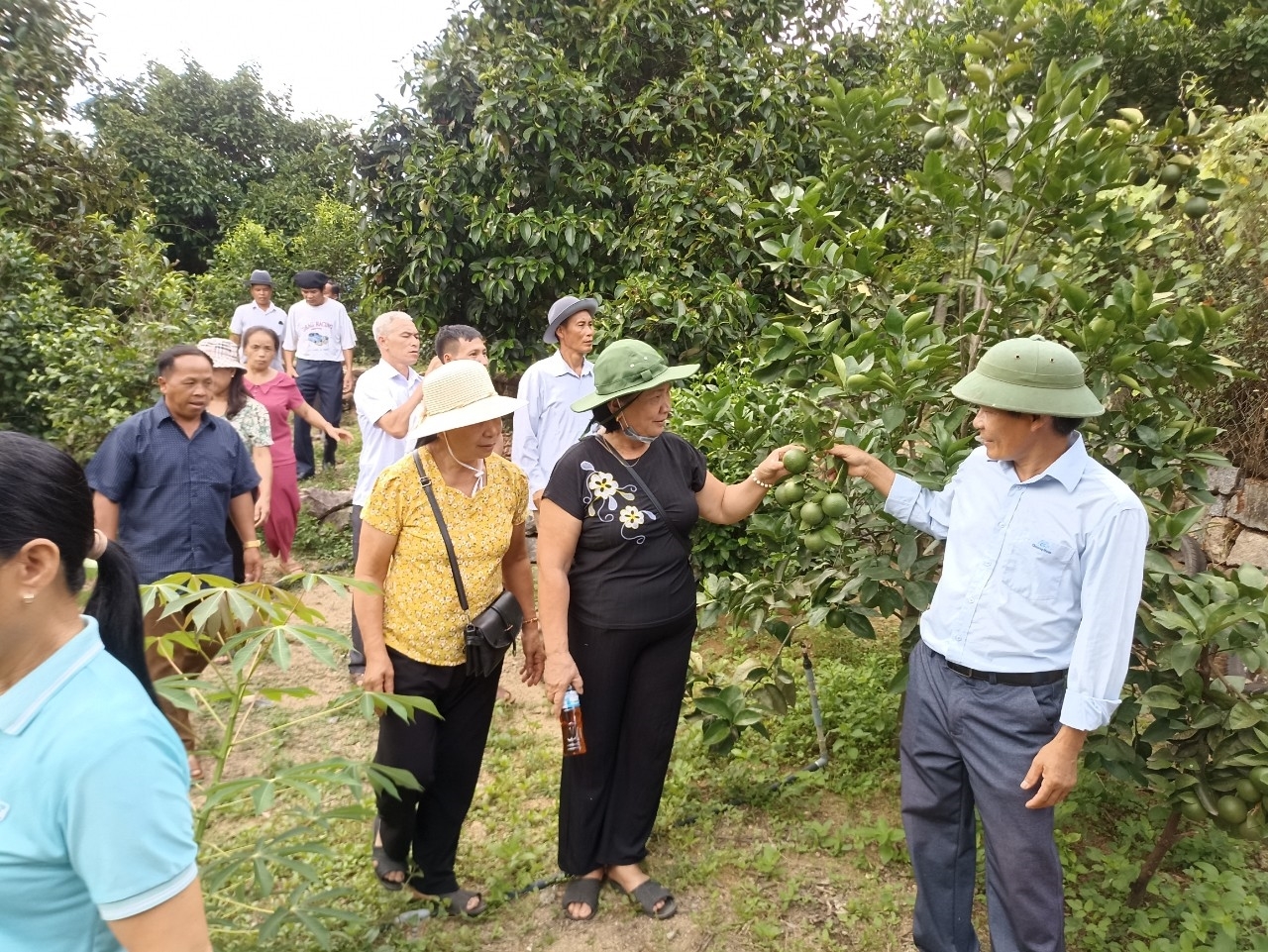 Ban Dân tộc tỉnh Tuyên Quang tổ chức đưa Đoàn đại biểu Người có uy tín trong đồng bào DTTS tỉnh Tuyên Quang đi thăm mô hình trồng cây ăn quả hữu cơ tại thị trấn Tiên Kỳ, huyện Tiên Phước, tỉnh Quảng Nam. Ban Dân tộc tỉnh Tuyên Quang tổ chức đưa Đoàn đại biểu Người có uy tín trong đồng bào DTTS tỉnh Tuyên Quang đi thăm mô hình trồng cây ăn quả hữu cơ tại thị trấn Tiên Kỳ, huyện Tiên Phước, tỉnh Quảng Nam.