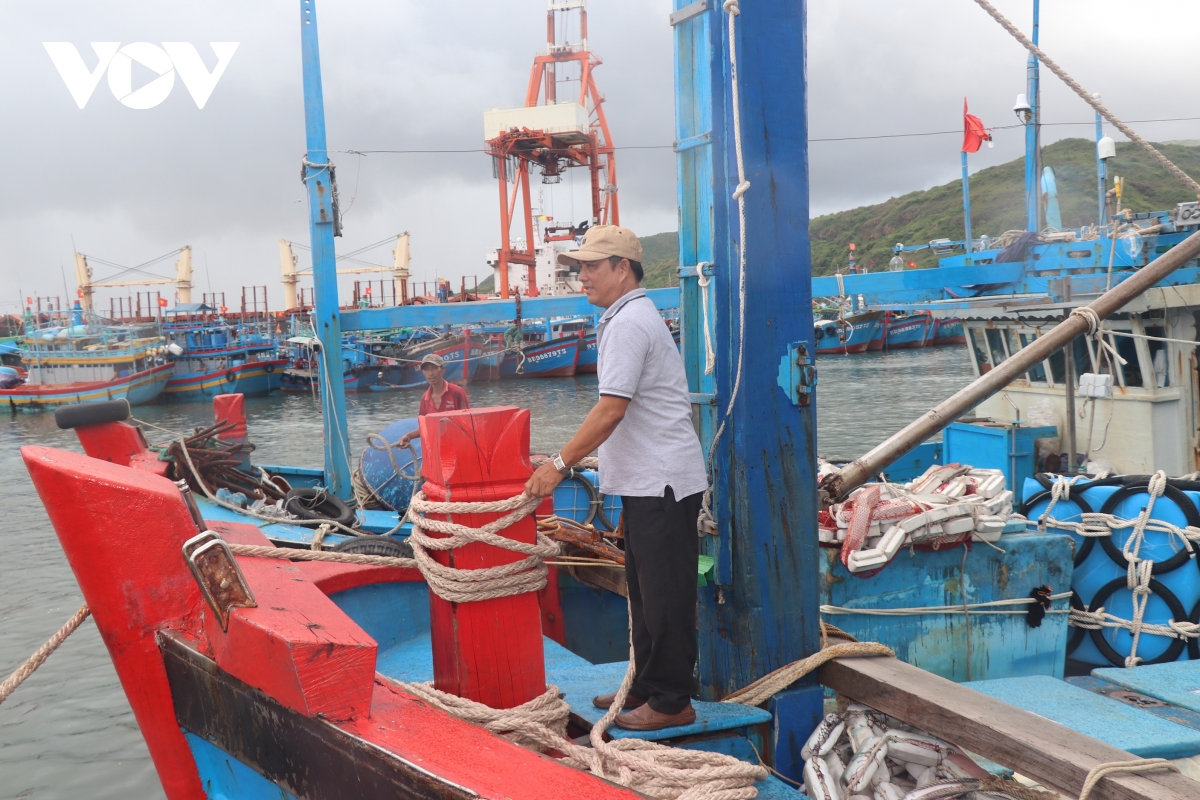 ngư dân gặp khó khi khai thác cá ngừ vằn chiều dài tối thiểu 500mm hình ảnh 3 ngu dan gap kho khi khai thac ca ngu van chieu dai toi thieu 500mm hinh anh 3