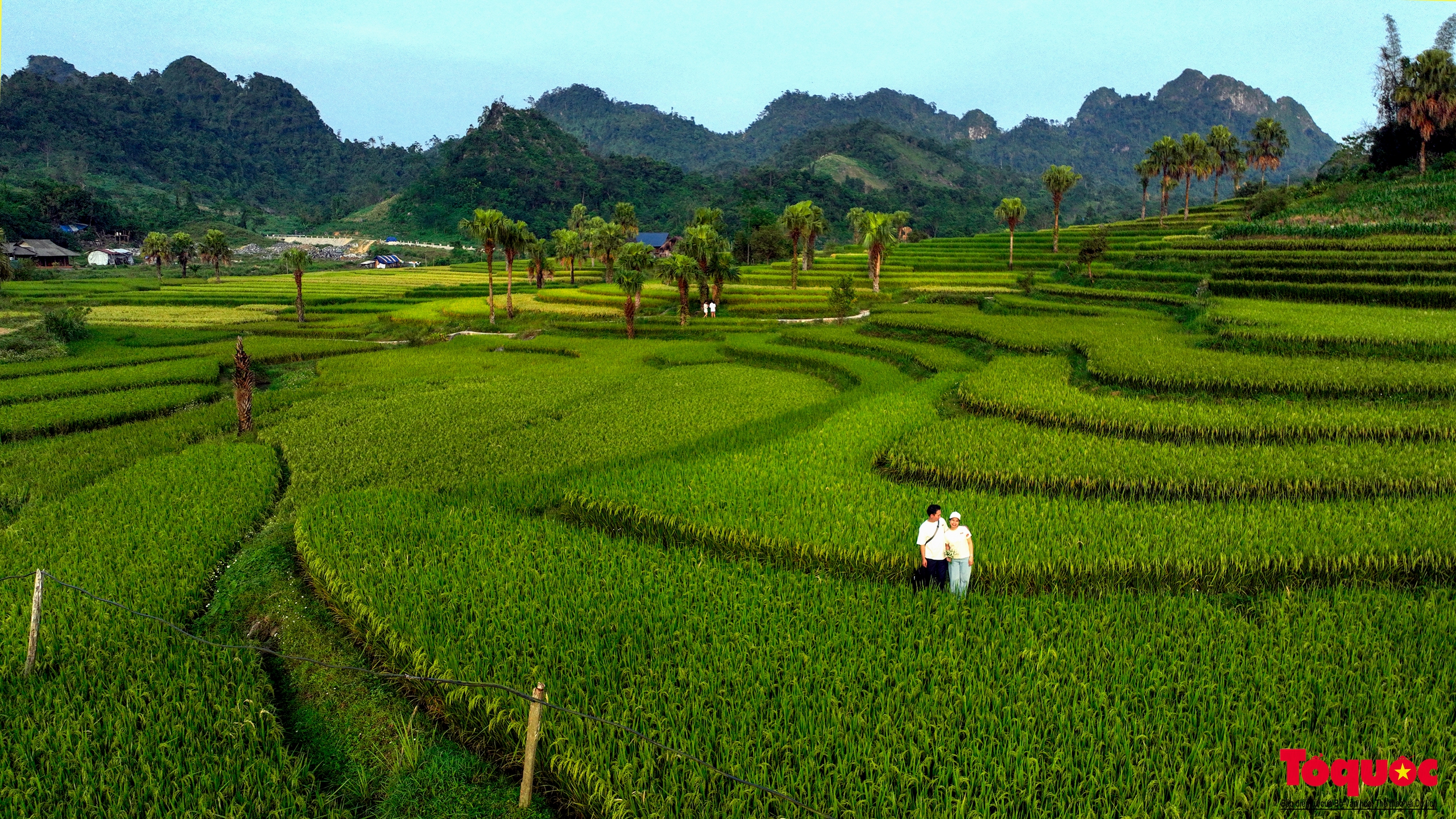 Về thủ đô gió ngàn ngắm mùa lúa chín ở bản Tèn - Ảnh 5. Về thủ đô gió ngàn ngắm mùa lúa chín ở bản Tèn - Ảnh 5.