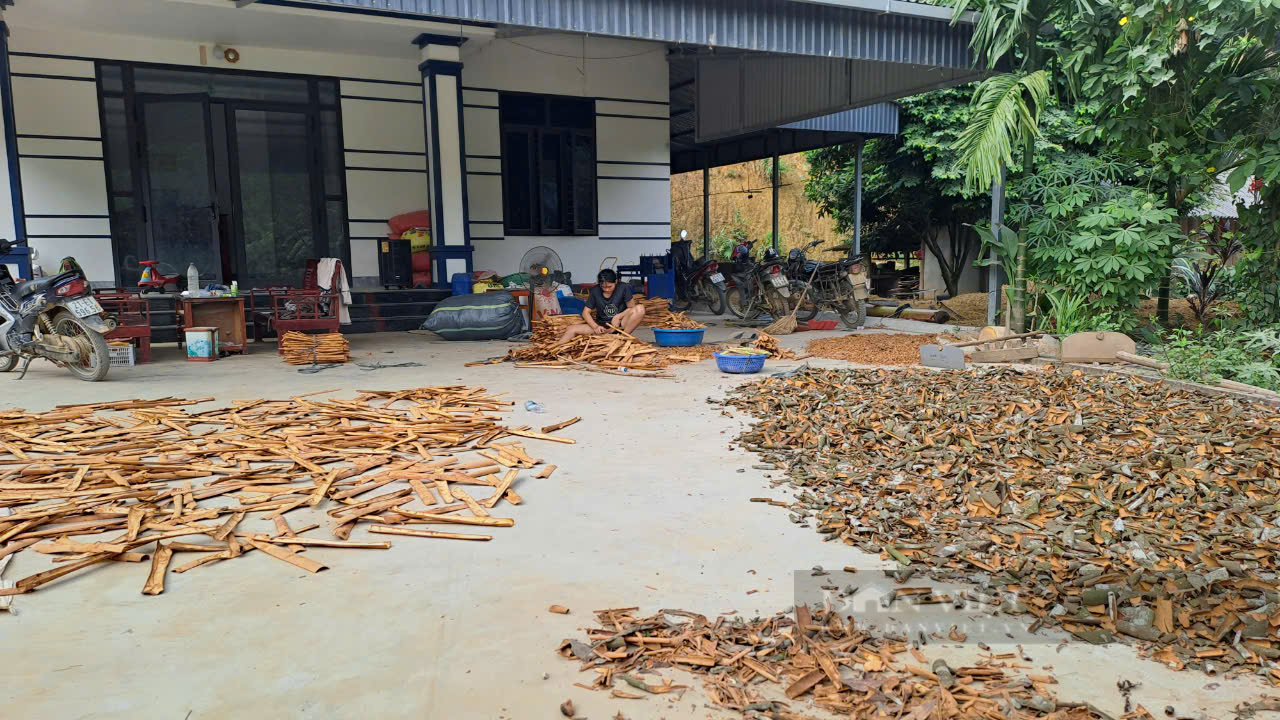 Xã Tân Hợp phát huy nội lực, nâng cao tiêu chí, tạo đà vững chắc để về đích nông thôn mới kiểu mẫu - Ảnh 4.