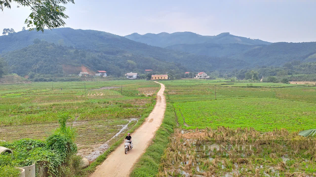 Xã Tân Hợp phát huy nội lực, nâng cao tiêu chí, tạo đà vững chắc để về đích nông thôn mới kiểu mẫu - Ảnh 6.