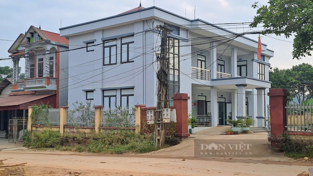 Xã Tân Hợp phát huy nội lực, nâng cao tiêu chí, tạo đà vững chắc để về đích nông thôn mới kiểu mẫu - Ảnh 7.