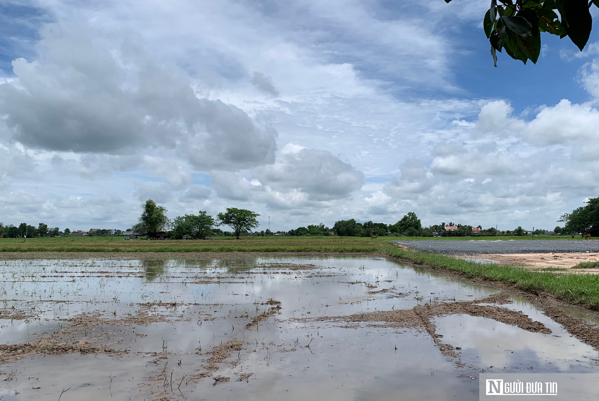 Nhà đầu tư “săn” đất nền, nhóm sản phẩm nào chiếm ưu thế?- Ảnh 3. Nhà đầu tư “săn” đất nền, nhóm sản phẩm nào chiếm ưu thế?- Ảnh 3.