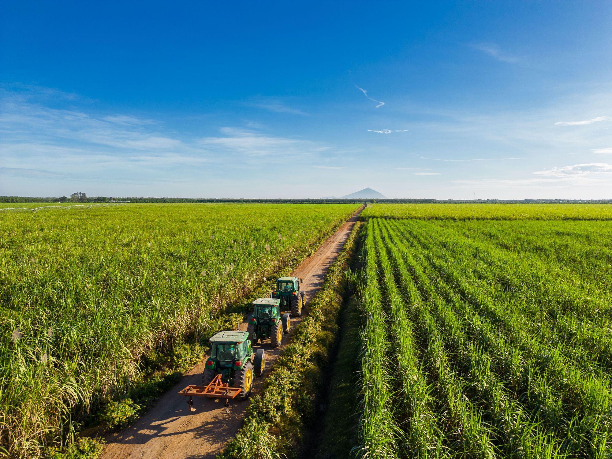 Chủ tịch TTC AgriS: Tây Ninh sẽ trở thành trụ sở của trung tâm nông nghiệp quốc tế- Ảnh 2. Chủ tịch TTC AgriS: Tây Ninh sẽ trở thành trụ sở của trung tâm nông nghiệp quốc tế- Ảnh 2.