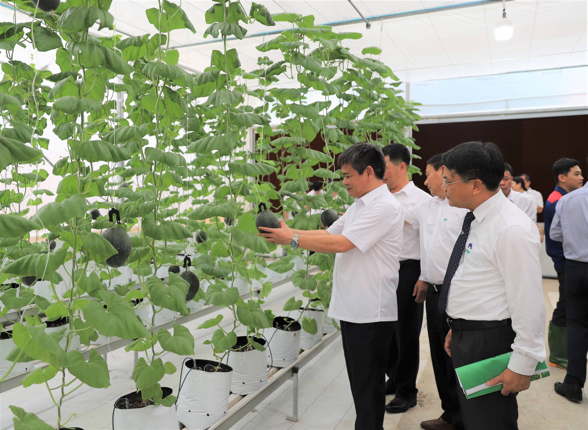 Supe Lâm Thao và bí quyết riêng tạo ra các sản phẩm phân bón được triệu nông dân tin dùng - Ảnh 3. Supe Lâm Thao và bí quyết riêng tạo ra các sản phẩm phân bón được triệu nông dân tin dùng - Ảnh 3.
