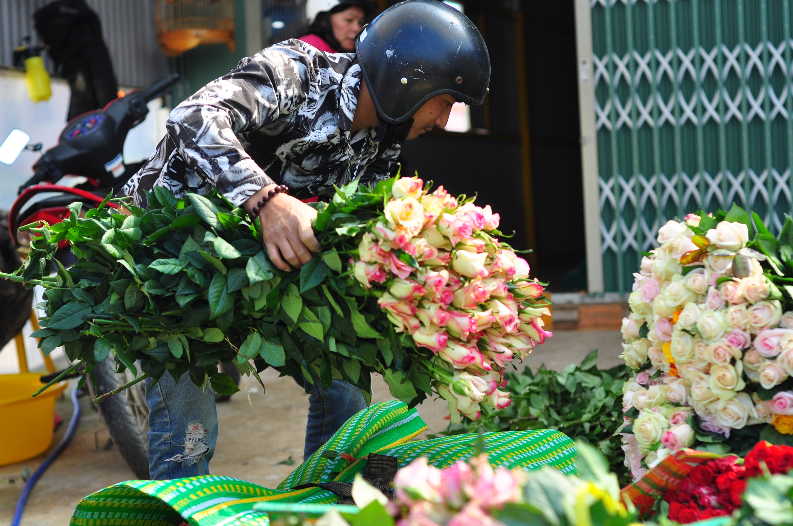 Trước ngày 20/10, giá hoa hồng tăng gấp đôi, nông dân Lâm Đồng vui ra mặt- Ảnh 2. Trước ngày 20/10, giá hoa hồng tăng gấp đôi, nông dân Lâm Đồng vui ra mặt- Ảnh 2.
