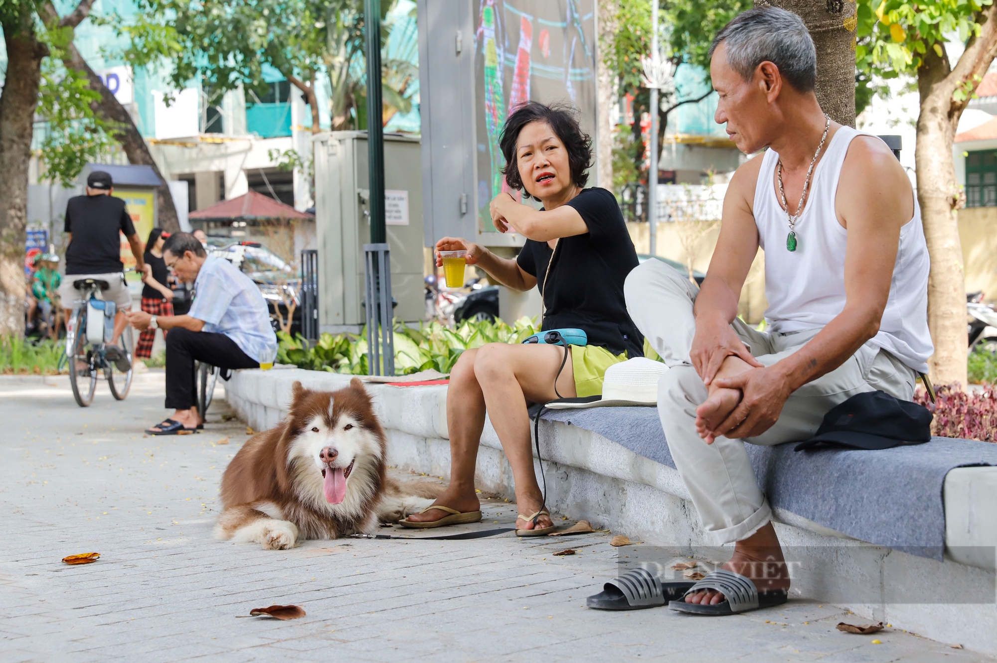 Diện mạo mới của hồ từng nuôi thiên nga ở Hà Nội sau khi được đầu tư gần 90 tỷ đồng- Ảnh 7. Diện mạo mới của hồ từng nuôi thiên nga ở Hà Nội sau khi được đầu tư gần 90 tỷ đồng- Ảnh 7.