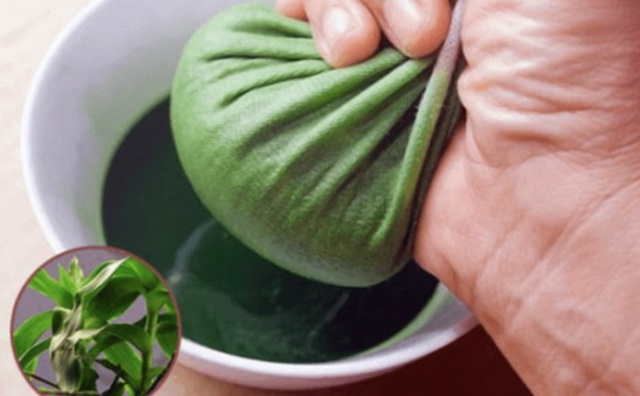 Thực hư công dụng của cây lược vàng với người bệnh tiểu đường? Đây là 3 bài thuốc chữa bệnh hữu hiệu - Ảnh 3. Thực hư công dụng của cây lược vàng với người bệnh tiểu đường? Đây là 3 bài thuốc chữa bệnh hữu hiệu - Ảnh 3.