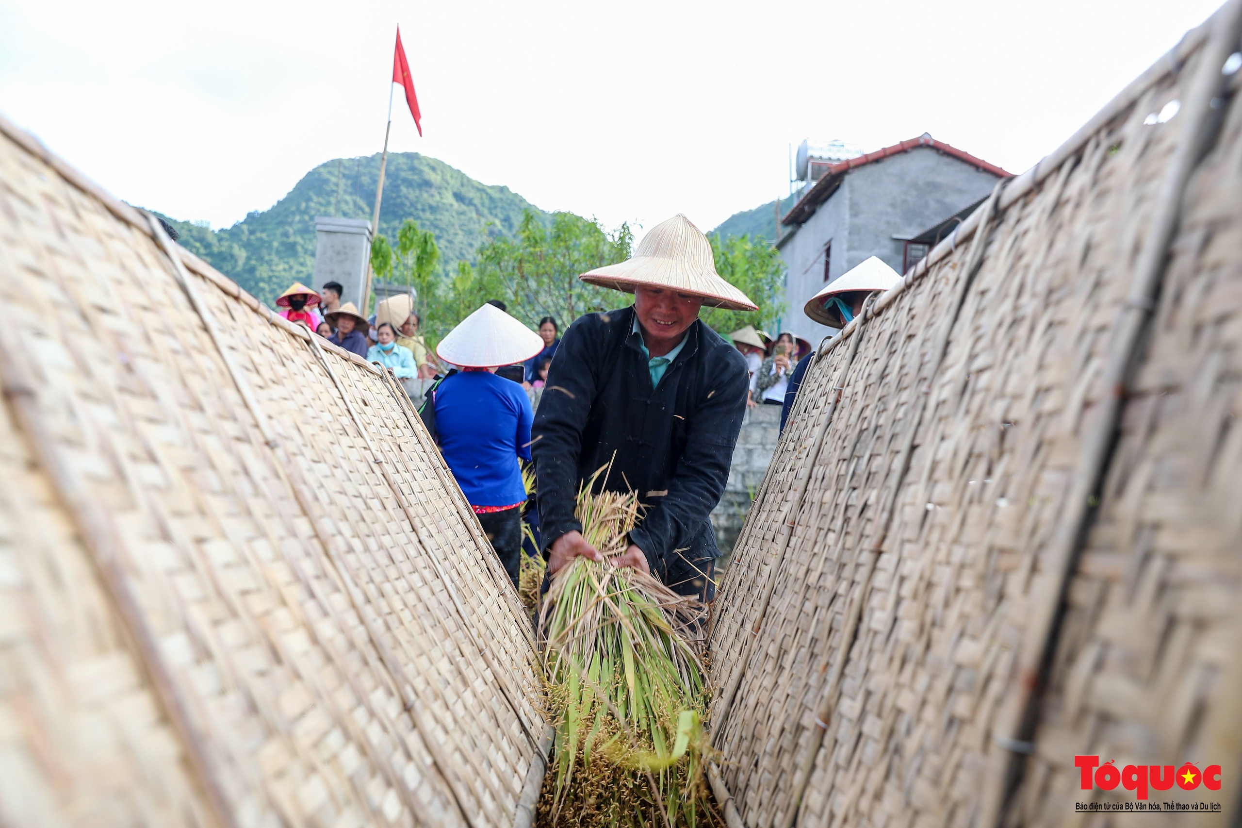 Lên Bắc Sơn xem đồng bào Tày thi gặt lúa bằng công cụ thô sơ - Ảnh 11. Lên Bắc Sơn xem đồng bào Tày thi gặt lúa bằng công cụ thô sơ - Ảnh 11.