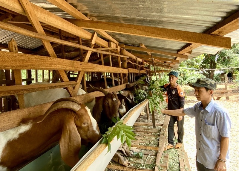 Người dân Lâm Đồng thay đổi nhận thức về cách sử dụng vốn ưu đãi của Nhà nước, áp dụng vào phát triển sản xuất, chăn nuôi, nâng cao đời sống. Người dân Lâm Đồng thay đổi nhận thức về cách sử dụng vốn ưu đãi của Nhà nước, áp dụng vào phát triển sản xuất, chăn nuôi, nâng cao đời sống.